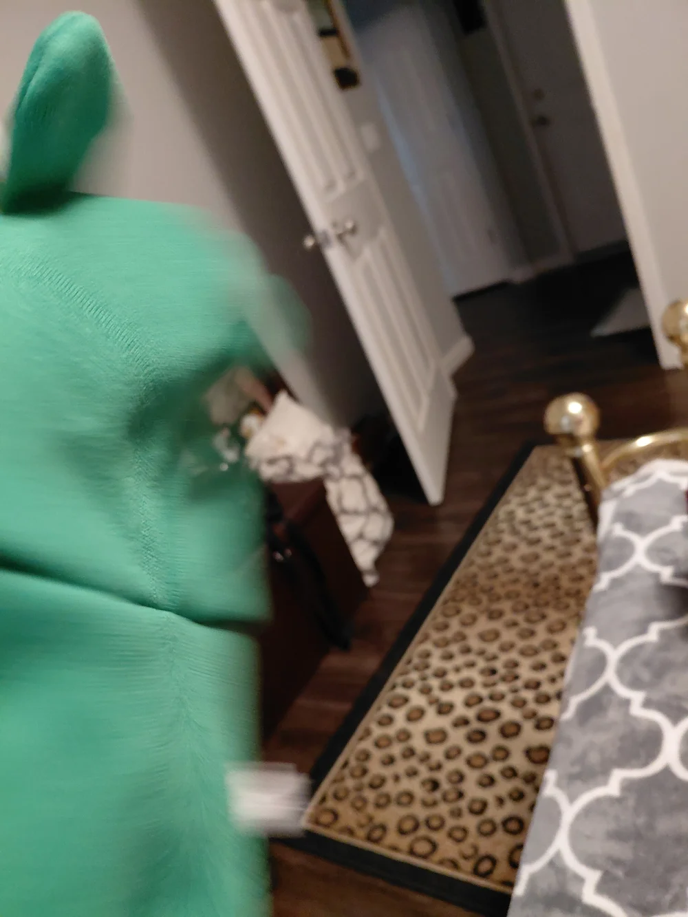 Green Frog Hoodie with Drawstring